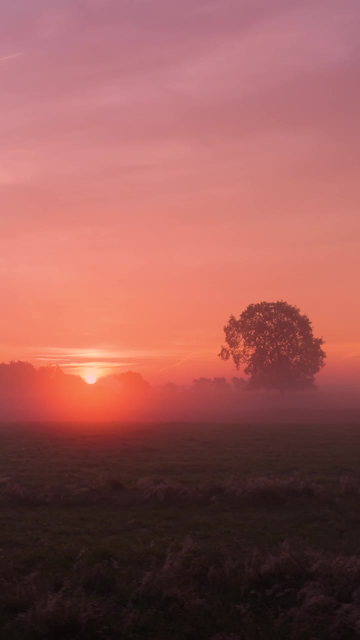 amanecer o atardecer sobre un campo de niebla