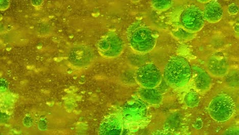 close-up view of green bubbles rising in a yellow liquid, showcasing dynamic movement and interaction.