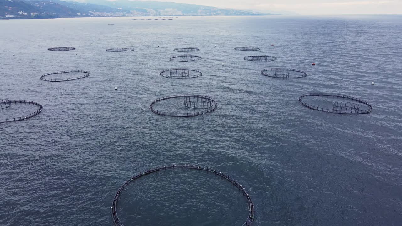 터키의 수산식물 생선 농장은 수산물 생선 제품을 시장에 공급합니다.