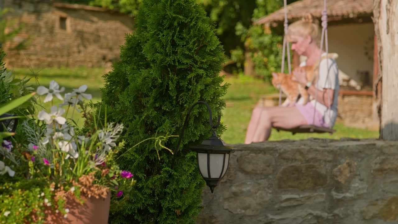 женщина на качелях по дереву поглаживает свою очаровательную рыжую киску кошки