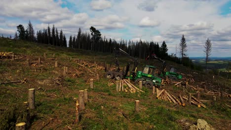 transportista durante la tala de bosques después de la tala de árboles