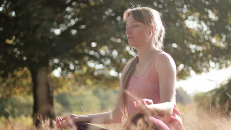 a young woman meditating in the park while seated in the grass in the lotus or padmasana poses and doing the namaste with her hands