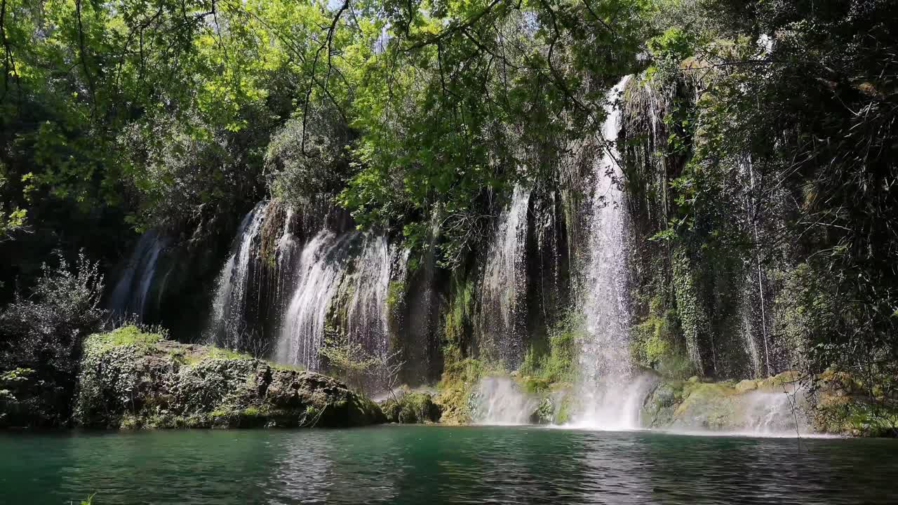 grande e veloce cascata in movimento in una foresta appartata