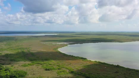 natural forest at sian ka'an mangrove lake in tulum mexico on sunny day, aerial