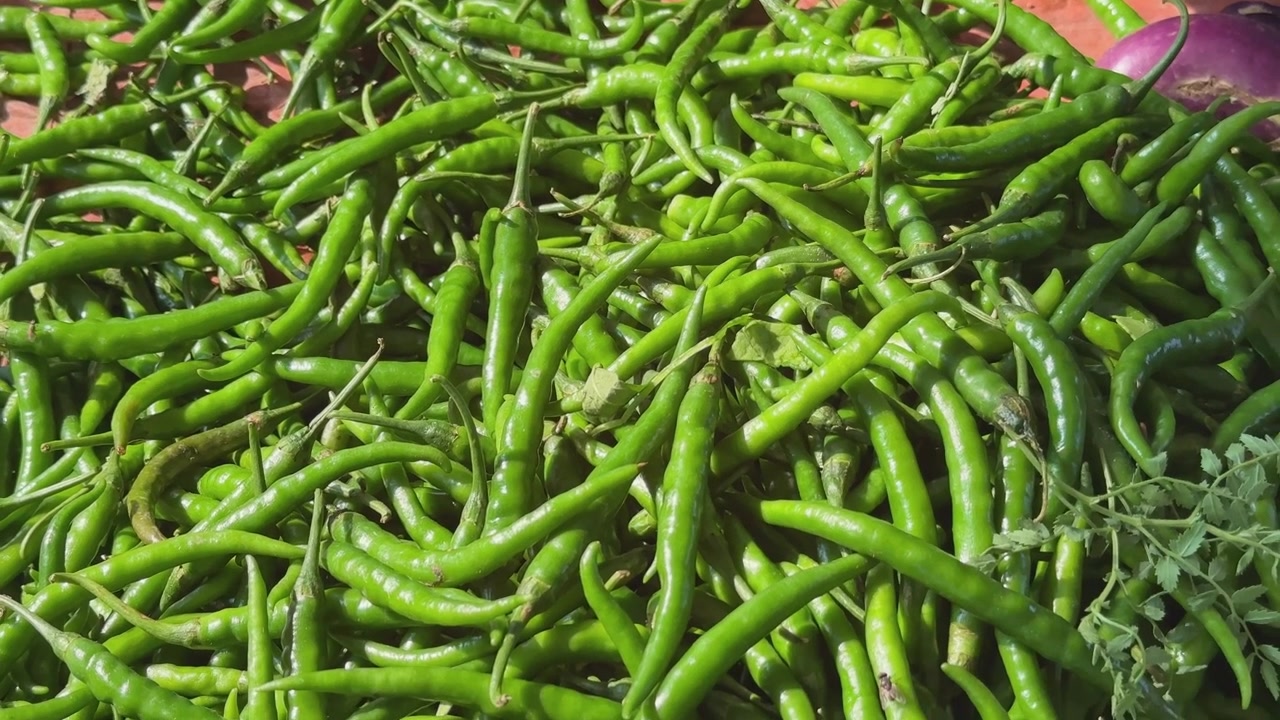 Tomada com afastamento de câmera de uma pilha de pimentas verdes.
