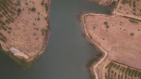 Topdown-along-river-zigzagging-along-cultived-rural-fields,-Alentejo