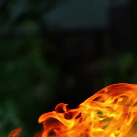bright fire flame. orange flame of campfire glowing in the summer evening on blur green background. slow motion.