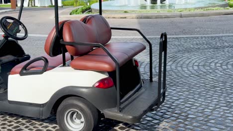 carro de golf estacionado cerca de la fuente y las palmeras