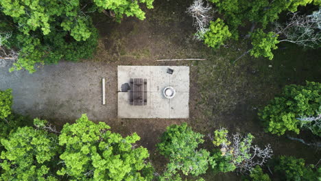 campamento en medio de árboles verdes y exuberantes en un bosque exuberante, disparo de dron