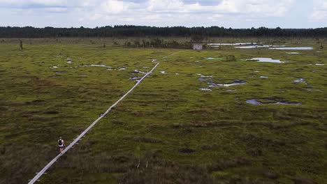 Eine-Folgende-Luftaufnahme-Eines-Mannes,-Der-Im-Sommer-Auf-Einem-Holzweg-Im-Nigula-moor-In-Estland-Spaziert