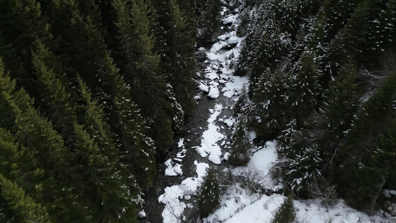 4K drone footage moving slowly forward above a snowy forest in the Norwegian mountains, showing a narrow river flowing through pine trees surrounded by winter scenery