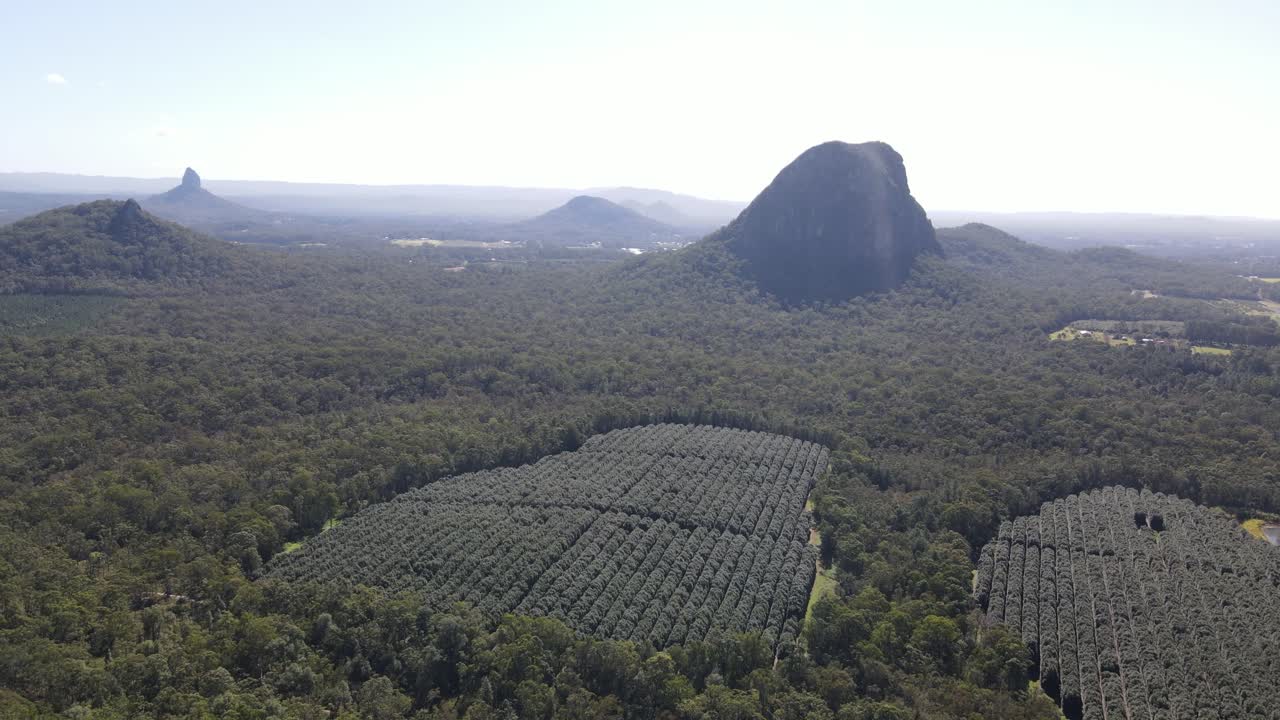 Drone aerial moving forward over glasshouse mountains and crop field