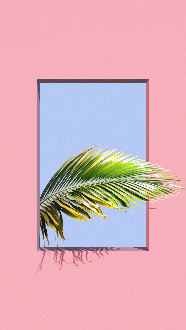 Foglia di palma tropicale che ondeggia in una cornice rosa minimalista