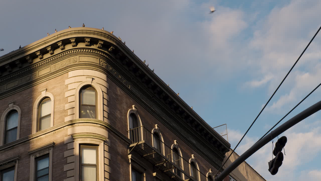 bandada de palomas aterrizando en la azotea con zapatillas arrojadas sobre un poste en primer plano en la ciudad de nueva york, u