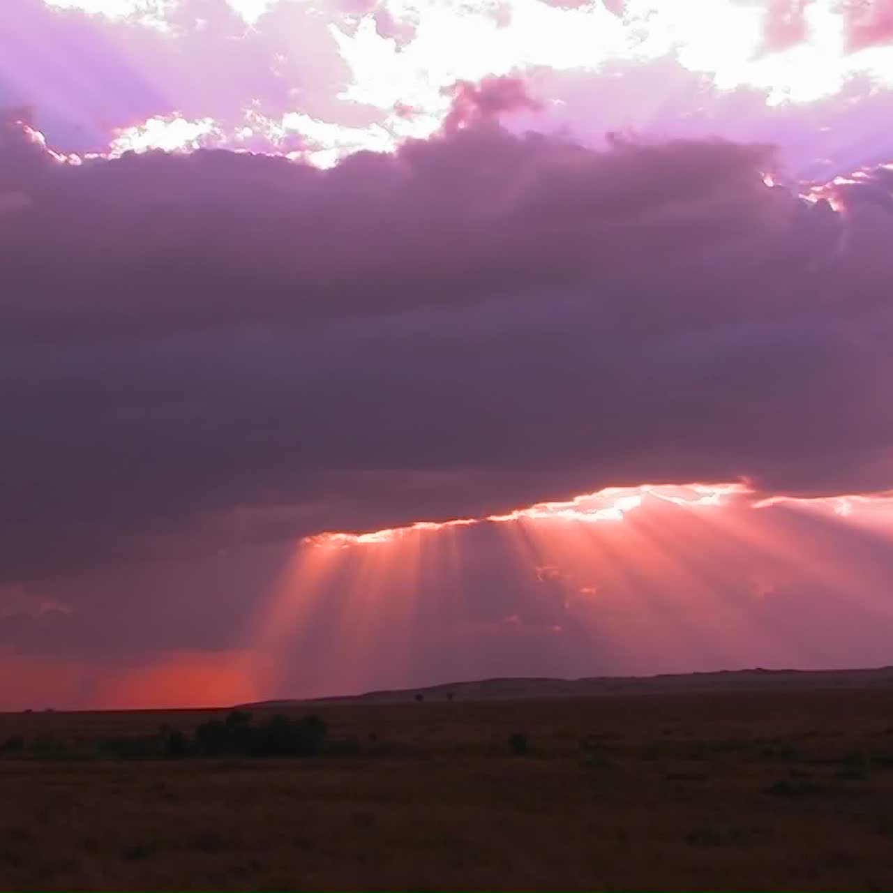 hermosos rayos de sol brotan de nubes oscuras en llanuras abiertas