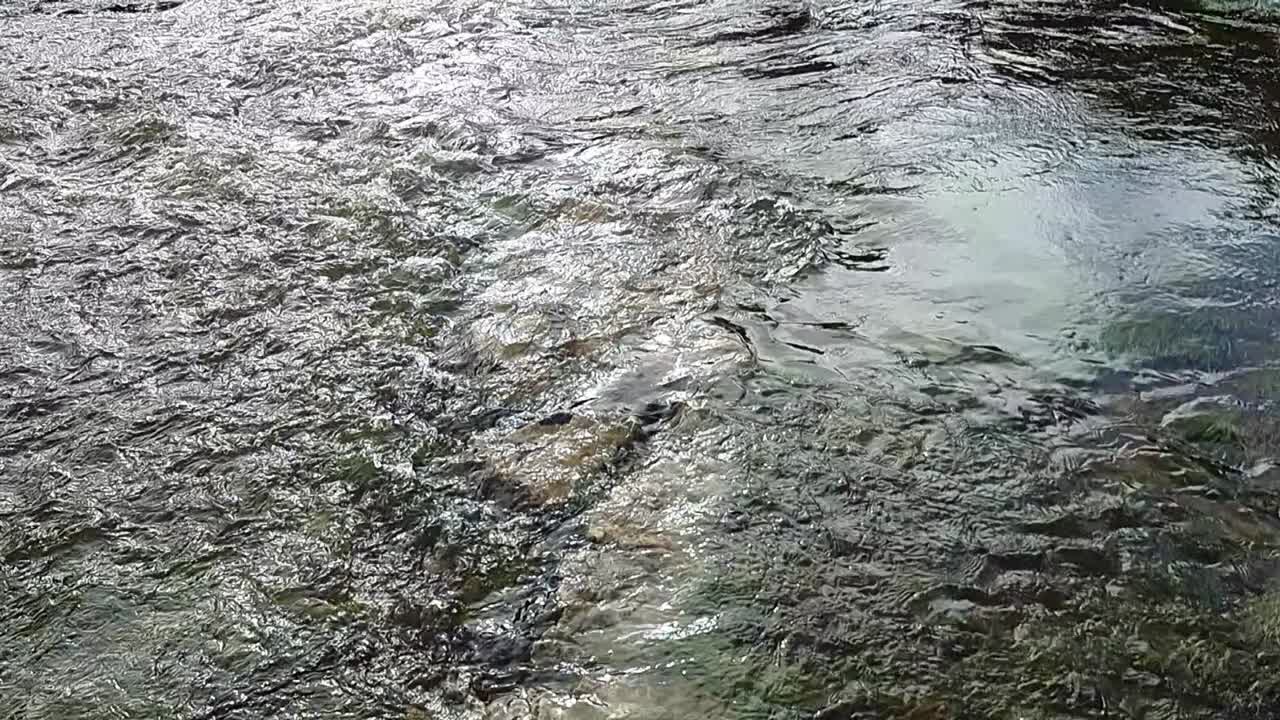 느린 영상 포화 된 홍수  ⁇ 글리 스트림 폭풍 날씨 후 은행을 터뜨렸다