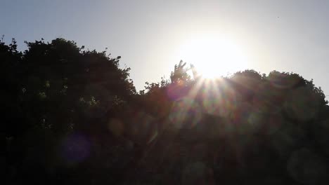 A-view-of-the-sun-behind-silhouetted-trees-in-Gonubie,-East-London,-South-Africa