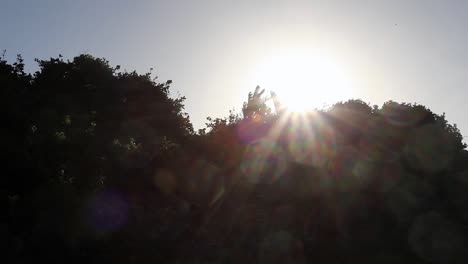 una vista del sol detrás de los árboles silueteados en gonubie, este de londres, sudáfrica