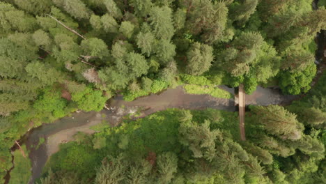 Top-down-aerial-slider-shot-over-a-river-bridge-in-a-forest