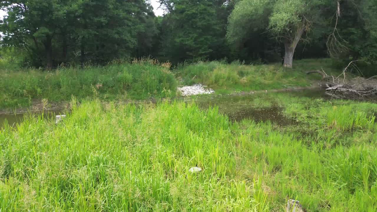 "유럽의 새벽 조명 호수 위의 드론은 조용한 호수, 울창한 숲, 그리고 조용한 연못을 포착합니다.