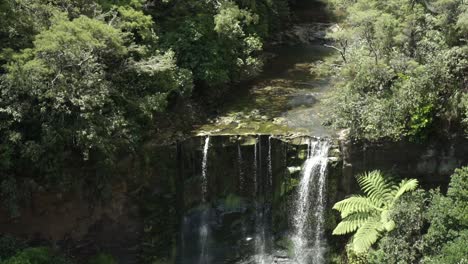 Slowmo---Nahaufnahme---Kaukasischer-Mann-Von-Hinten,-Der-Mokoroa-Falls,-Auckland,-Neuseeland-Betrachtet