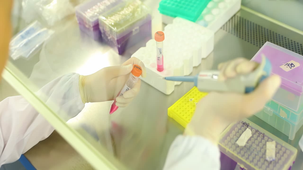 Medical staff transferring solution Samples to a tissue culture flask with Suction Pipette for cell culture assay in biological cabinet on in cleanroom environmental facility laboratory.