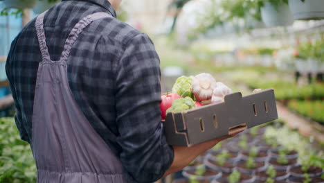 Farmer Carrying Harvested Vegetables