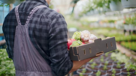 farmer carrying harvested vegetables