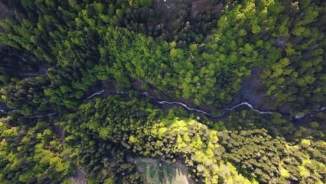 stream flowing down mountainside canyon, aerial bird's eye view