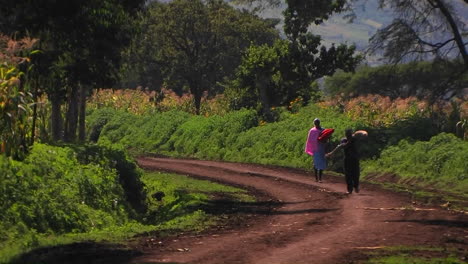 A-woman-and-boy-walk-down-a-country-road-the-boy-carrying-a-package-and-the-woman-a-parasol