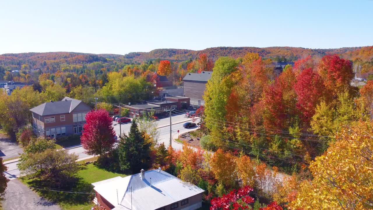 Establishing aerial view shows golden treetops in peaceful town region of Estrie