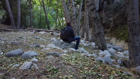 hombre contemplativo solo con mochila sentado en las rocas en el bosque o el bosque