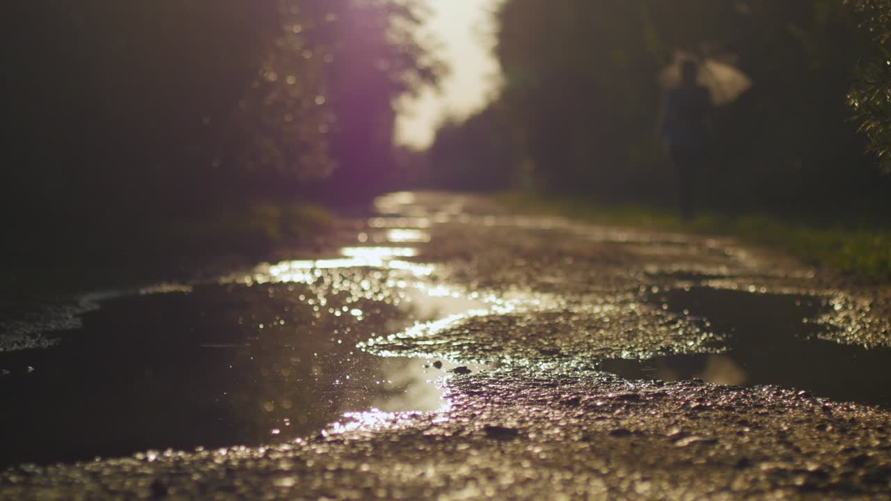 Woman with an umbrella walking towards camera on a puddly gravel road