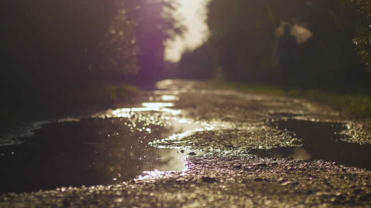 Mujer con paraguas caminando hacia la cámara en un camino de grava con charcos