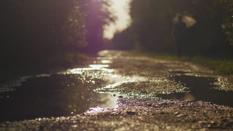 woman with an umbrella walking towards camera on a puddly gravel road