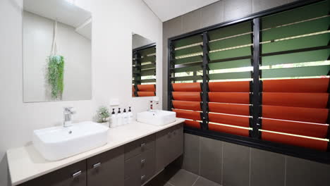 prestigious modern double vanity bathroom with hanging tropical plants and closed jealousie windows in tropical location