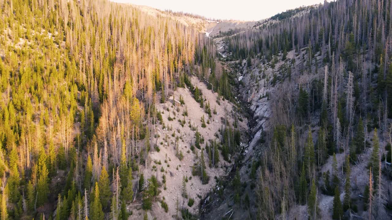 caída de agua en el bosque nacional de río grande en las primeras horas de la mañana de principios de primavera