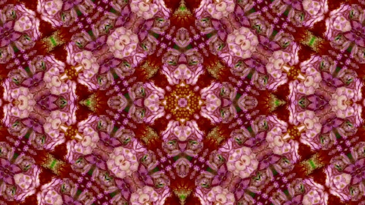 Kaleidoscope Movement: Geometric Circle and Star Shapes