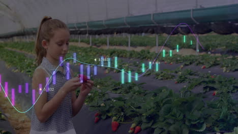 analyzing data animation over girl inspecting strawberries in greenhouse