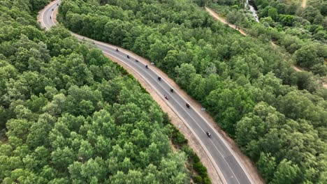 group of motorcyclists on a curve of a road surrounded by a forest, aerial view