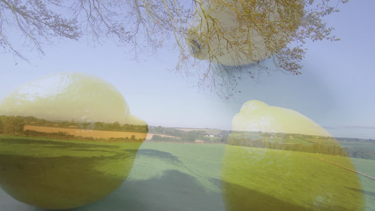 Large lemons overlaid on lush green landscape, creating surreal animation scene