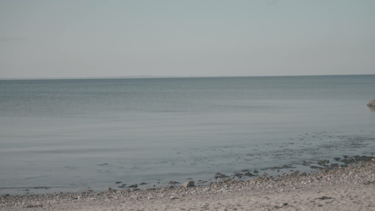 덴마크 북부 파인 의 해변