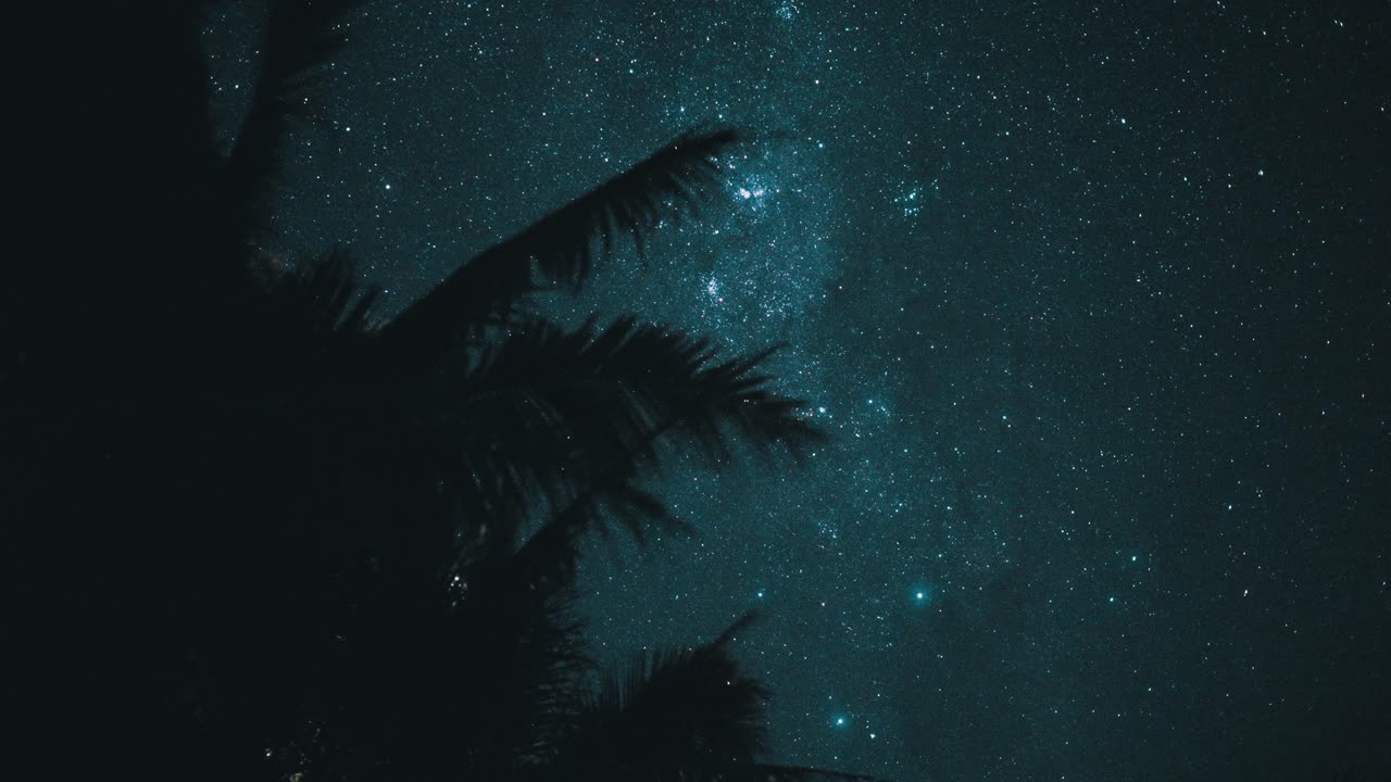 Time lapse of the milky way with some palm-tree in the foreground