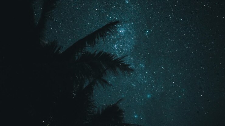 Time lapse of the milky way with some palm-tree in the foreground