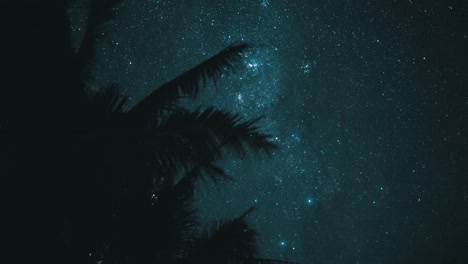 time lapse of the milky way with some palm-tree in the foreground