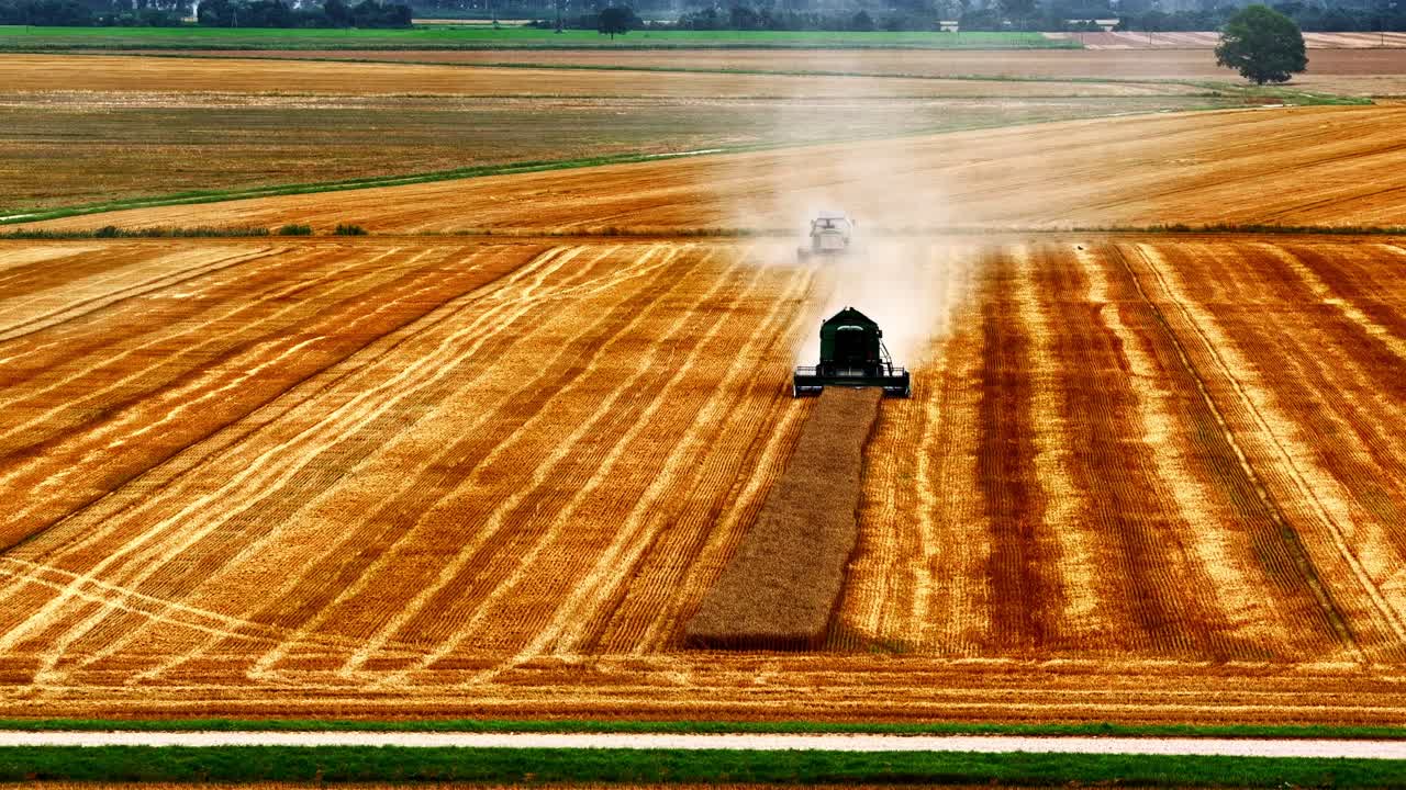 Wheat agriculture field harvest combine harvester autumn farming industrial equipment