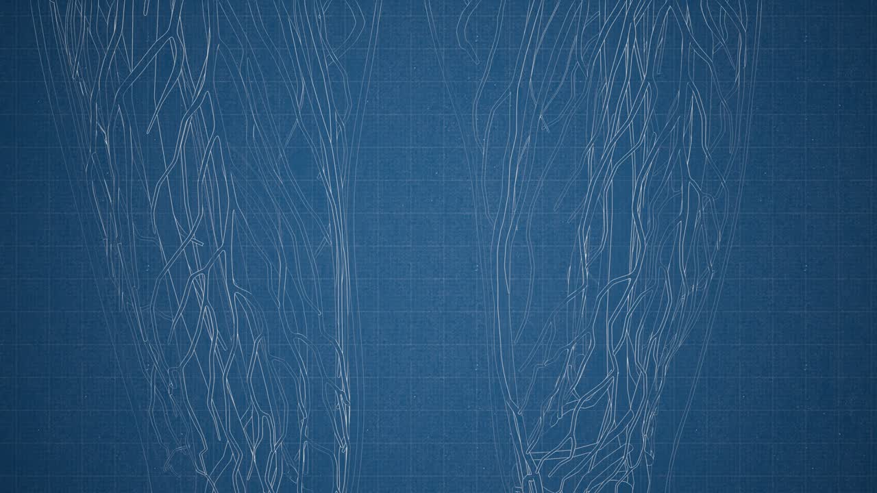 cuerpo humano transparente con huesos visibles