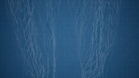 cuerpo humano transparente con huesos visibles