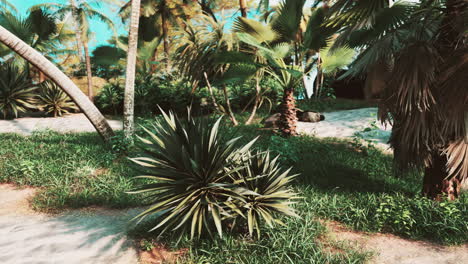 Palmeras-Y-Plantas-Tropicales-En-Un-Día-Soleado