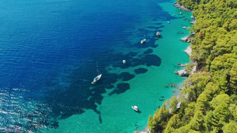 boats float in crystal-clear blue water near a lush green forest coastline on a sunny day